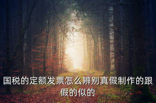 如何驗證定額發(fā)票，國稅的定額發(fā)票怎么辨別真假制作的跟假的似的