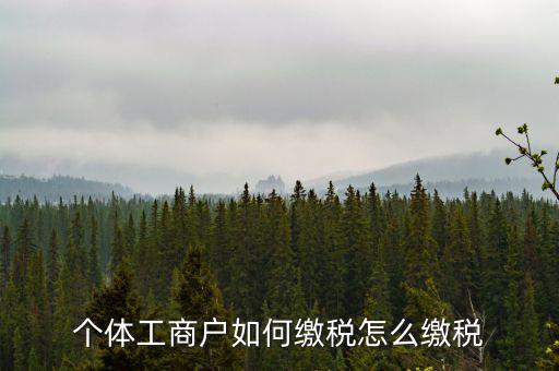 福建企業(yè)如何繳稅，企業(yè)所得稅是多少