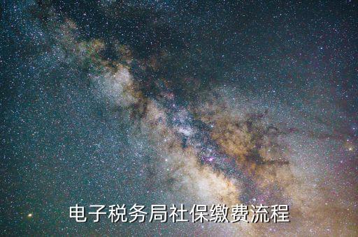 如何在地稅網(wǎng)繳納社保，交社保需要去地稅局辦理網(wǎng)上申報嗎
