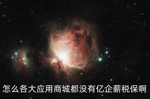 怎么各大應(yīng)用商城都沒(méi)有億企薪稅保啊