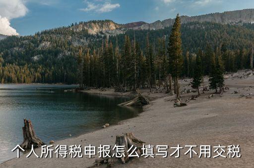 福建自然人個稅如何申報才不用繳稅，個稅專項附加扣除怎樣填寫才不繳稅