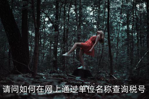 如何通過公司名稱查稅號(hào)，知道公司名字怎么查稅號(hào)嗎