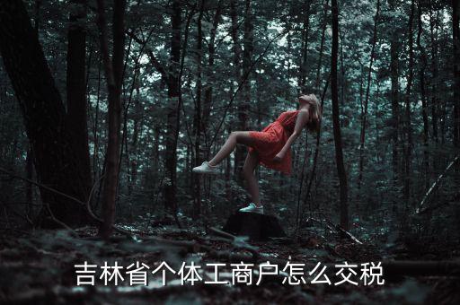吉林個(gè)人所得稅如何申報(bào)，個(gè)人所得稅申報(bào)問(wèn)題吉林省