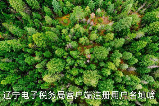 如何注冊社保電子稅務(wù)局賬號，遼寧電子稅務(wù)局客戶端注冊用戶名填啥