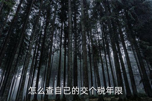 如何查詢納稅期限，怎么查自已的交個稅年限
