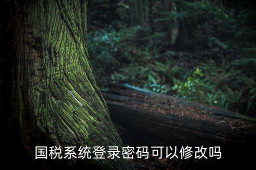 國稅系統(tǒng)登錄密碼可以修改嗎