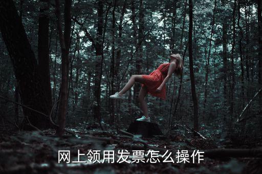 網上領用發(fā)票怎么操作
