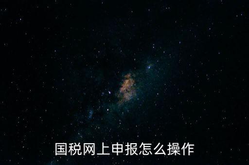 國稅網上申報怎么操作