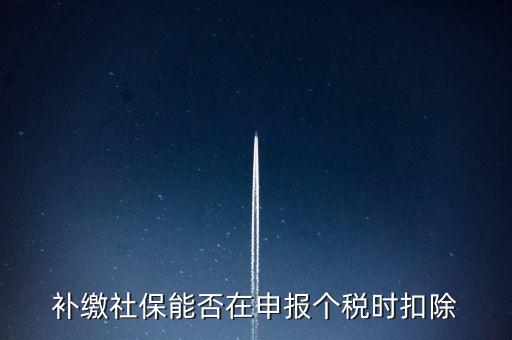 補(bǔ)繳社保能否在申報(bào)個稅時扣除
