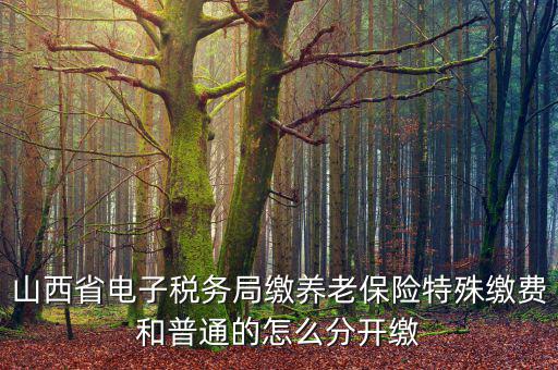 山西養(yǎng)老保險如何和國稅局對接，交養(yǎng)老保險交到國家稅務總局怎么辦