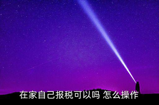 如何自行申報(bào)納稅，在家自己報(bào)稅可以嗎 怎么操作