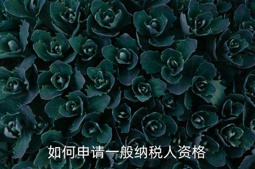 一般納稅人如何申請B級，一般納稅人B類企業(yè)如何申報企業(yè)所得稅