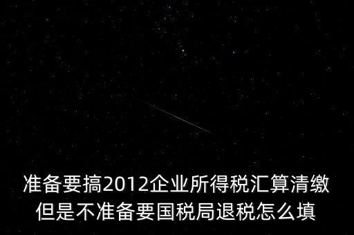 準備要搞2012企業(yè)所得稅匯算清繳但是不準備要國稅局退稅怎么填