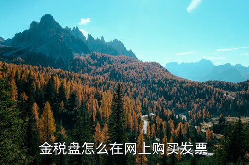 金稅盤如何網(wǎng)上購票，金稅盤領(lǐng)購發(fā)票的流程