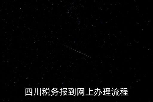 四川企業(yè)地稅如何網(wǎng)上申報系統(tǒng)，稅務(wù)申報如何網(wǎng)上申報