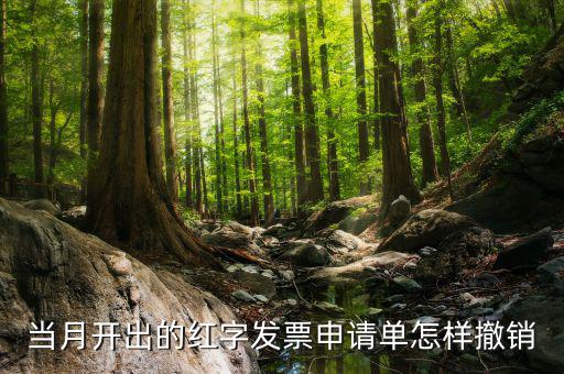 如何撤銷紅字發(fā)票申請(qǐng)書，紅字申請(qǐng)單如何作廢