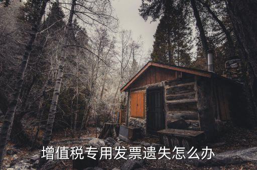 丟失專用發(fā)票如何，丟失空白增值稅專用發(fā)票如何處理