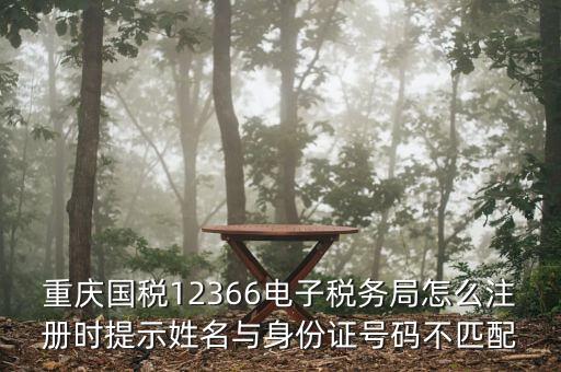 如何注冊(cè)重慶電子稅務(wù)登記證，重慶九龍坡新辦企業(yè)到地稅辦理電子稅務(wù)局要那些資料
