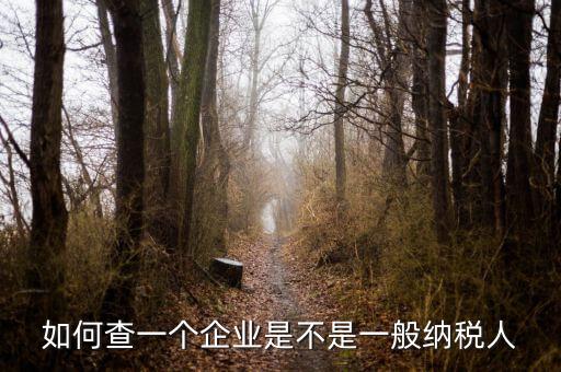 如何查是否一般納稅人，怎么確認(rèn)一家單位是不是一般納稅人