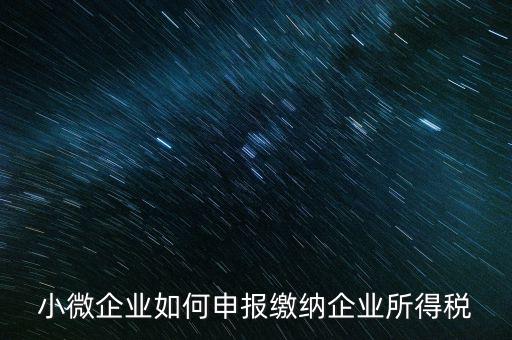 小企業(yè)如何繳納所得稅，小規(guī)模企業(yè)所得稅怎么交納