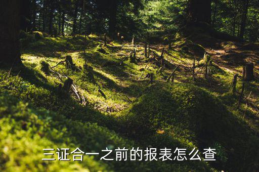 如何查三證合一之前的國稅數(shù)據(jù)，三證合一之前的報表怎么查