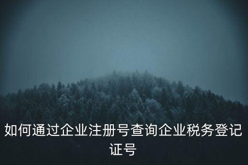 如何查詢公司稅務(wù)編號(hào)查詢系統(tǒng)，公司的稅務(wù)登記證號(hào)怎么查詢