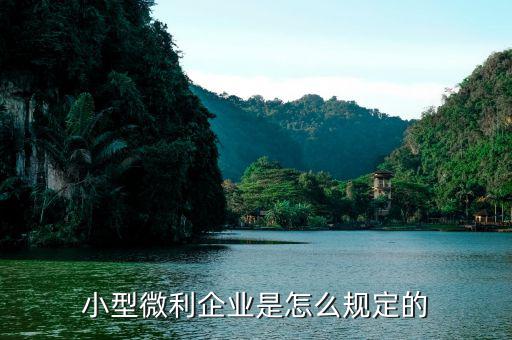 如何界定小型微利企業(yè)，怎么確定是否屬于小型微利企業(yè)