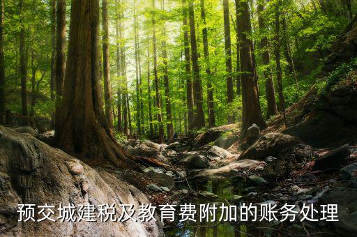 預繳城建稅如何處理，預交城建稅及教育費附加的賬務處理
