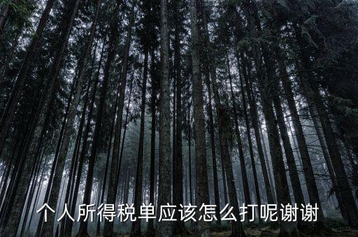 如何打印個人所得稅清單，請問如何打印個人個人所得稅繳款單據(jù)