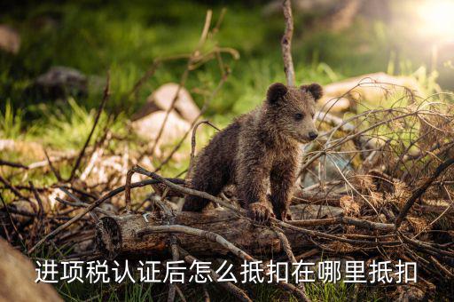 動產(chǎn)進(jìn)項稅如何抵扣，進(jìn)項稅是怎么個抵扣法