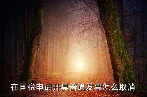 網(wǎng)上申領(lǐng)發(fā)票如何撤銷，已經(jīng)申報了的發(fā)票怎么作廢