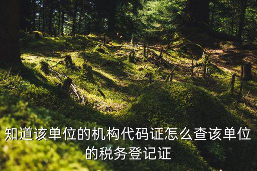 如何查企業(yè)稅務(wù)登記證號，公司的稅務(wù)登記證號怎么查詢