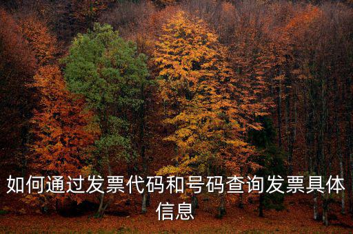 如何查詢發(fā)票詳細(xì)信息查詢，如何通過(guò)發(fā)票代碼和號(hào)碼查詢發(fā)票具體信息