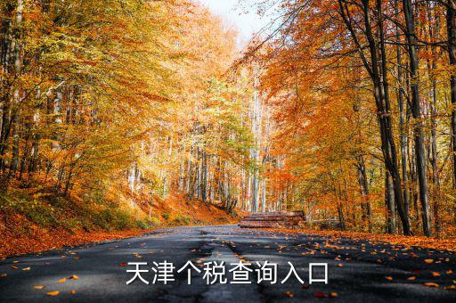 天津個稅如何查詢密碼，天津個稅查詢?nèi)肟?/></a></span><span id=