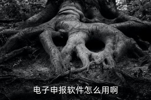 濟(jì)南電子稅務(wù)如何使用，網(wǎng)上辦稅平臺(tái)手機(jī)app怎么操作
