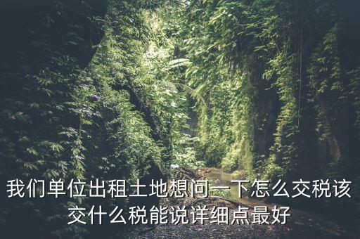 土地出租如何征稅，我們單位出租土地想問一下怎么交稅該交什么稅能說詳細(xì)點(diǎn)最好