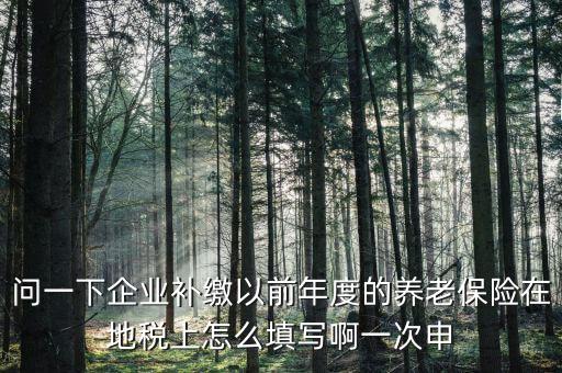 如何補打地稅社會保險費申報表，在網(wǎng)上交完社保后要怎樣補打社會保險費申報表