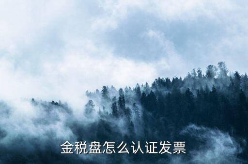 如何用金稅盤認(rèn)證發(fā)票，金稅盤怎么認(rèn)證發(fā)票