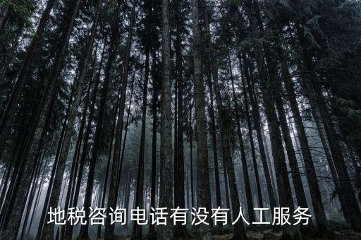 北京12366如何轉(zhuǎn)人工，我有關(guān)于北京稅務(wù)的問題因?yàn)楹軓?fù)雜你們有沒有電話可以直接溝通