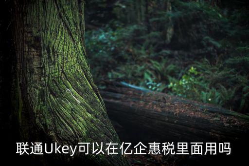 億企惠稅如何填報(bào)，聯(lián)通硬證書里面還贈(zèng)送的其他產(chǎn)品是什么怎么用