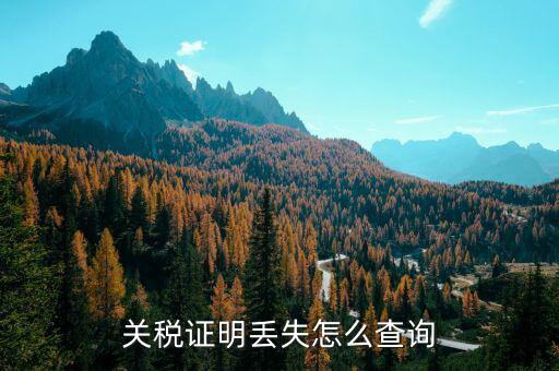 如何查納稅證明，個(gè)人的納稅證明網(wǎng)上能查嗎