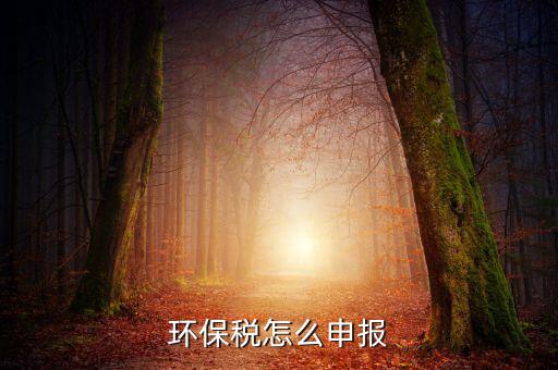 環(huán)境保護稅b類如何申報表，環(huán)保稅申報步驟是什么