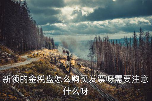 新公司如何購買金稅盤，新領(lǐng)的金稅盤怎么購買發(fā)票呀需要注意什么呀