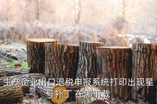 生產(chǎn)企業(yè)出口退稅申報系統(tǒng)打印出現(xiàn)星號補(bǔ)丁 在哪下載
