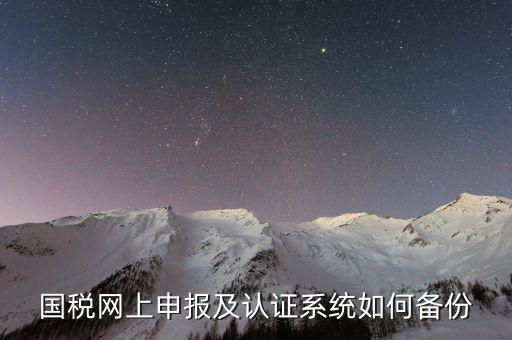 稅友申報(bào)軟件如何備份，國稅網(wǎng)上申報(bào)及認(rèn)證系統(tǒng)如何備份