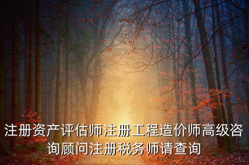 如何查詢稅務(wù)師信息，注冊稅務(wù)師報名時的信息哪里能查到
