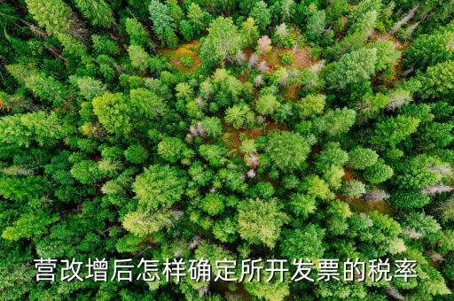 開票時(shí)稅率如何確認(rèn)，發(fā)票的稅是怎么算的是不是數(shù)額越大要繳稅的百分比就越大比
