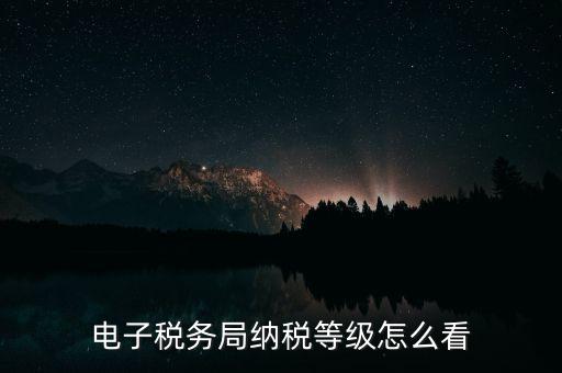 a級納稅人如何查詢，電子稅務(wù)局納稅等級怎么看
