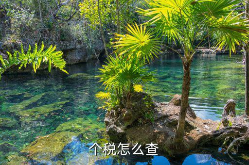 如何查詢個人稅，個稅怎么查