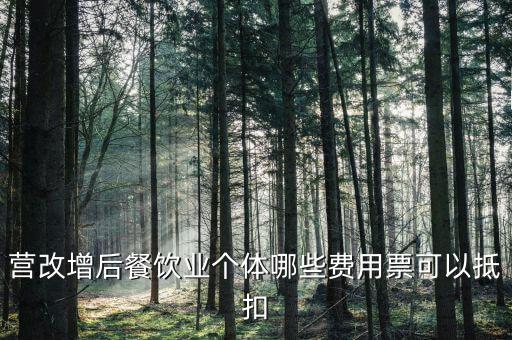 餐飲業(yè)如何抵扣，餐飲業(yè)無(wú)法向個(gè)人消費(fèi)者開(kāi)具增值稅專(zhuān)用發(fā)票那怎么抵扣進(jìn)項(xiàng)稅